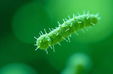 Similar image 22122678