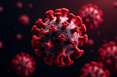 Similar image 22121217