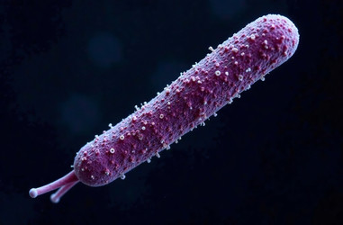 Similar image 22121218