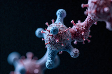 Similar image 22121333