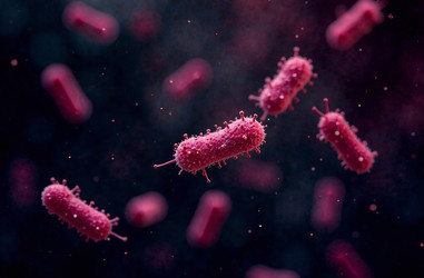 Similar image 22121339