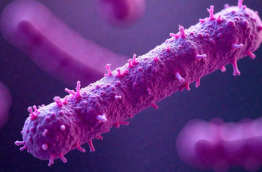 Similar image 22121350