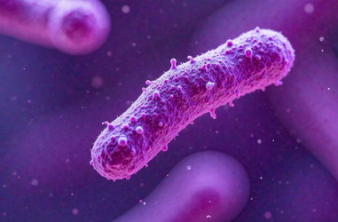 Similar image 22121354