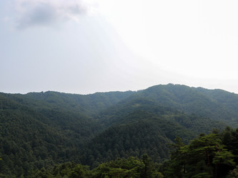 Similar image 22109509