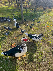 Similar image 22126044