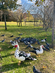 Similar image 22126045