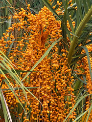 Similar image 22126046