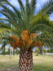 Similar image 22126047