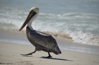 Similar image 22110978