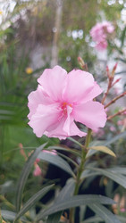 Similar image 22111822