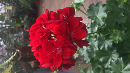 Similar image 22111856