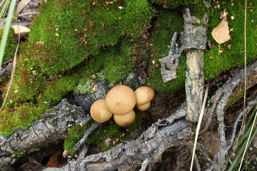 Similar image 22109534