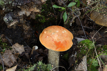 Similar image 22109535