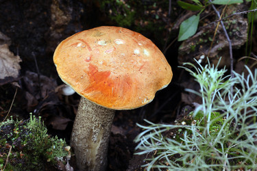 Similar image 22109536