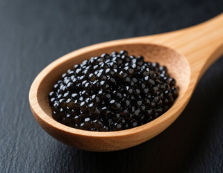 Similar image 22111729