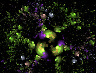 Similar image 22109868