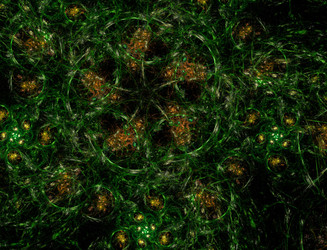 Similar image 22109870