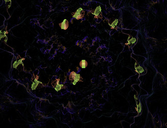 Similar image 22109883