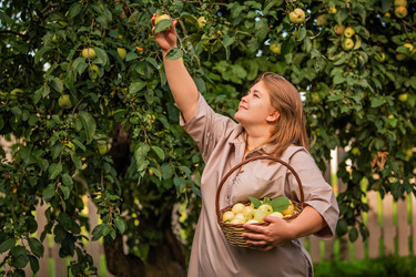 Similar image 22112736