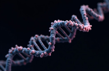 Similar image 22122688