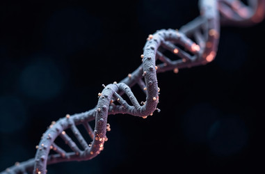 Similar image 22122690