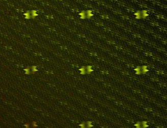 Similar image 22109923