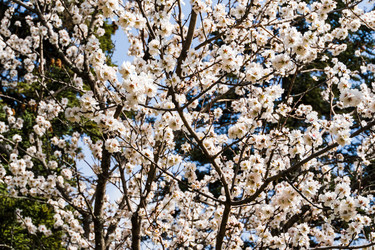 Similar image 22114537