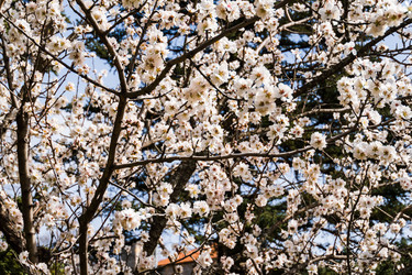 Similar image 22114538