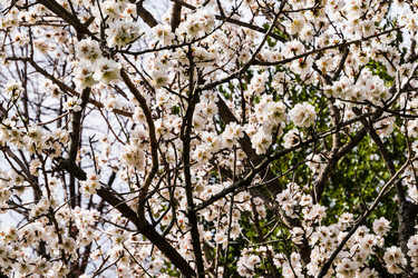 Similar image 22114540