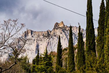 Similar image 22121507