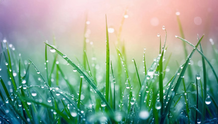 Similar image 22120141