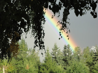 Similar image 22112929