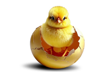 Similar image 22117730