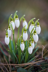 Similar image 22117740