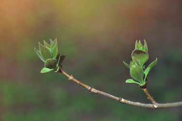 Similar image 22110238