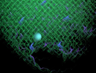 Similar image 22113110