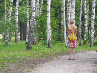 Similar image 22110802