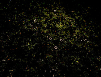 Similar image 22113128