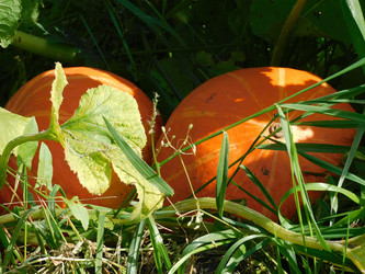 Similar image 22111777