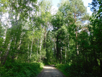 Similar image 22111770