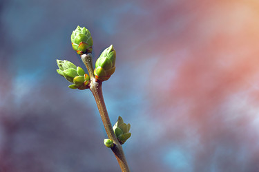 Similar image 22113530