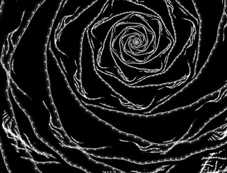 Similar image 22113142