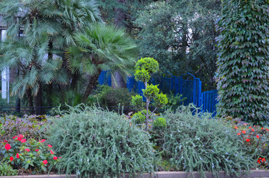 Similar image 22114710