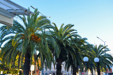 Similar image 22125685