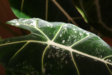 Similar image 22120434