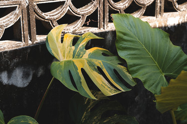 Similar image 22120446