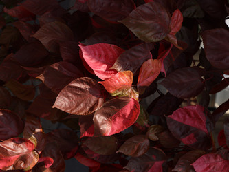 Similar image 22120448