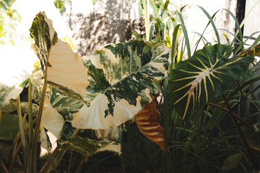 Similar image 22120454