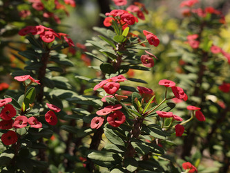 Similar image 22120456