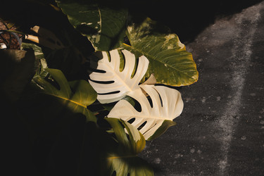 Similar image 22120458